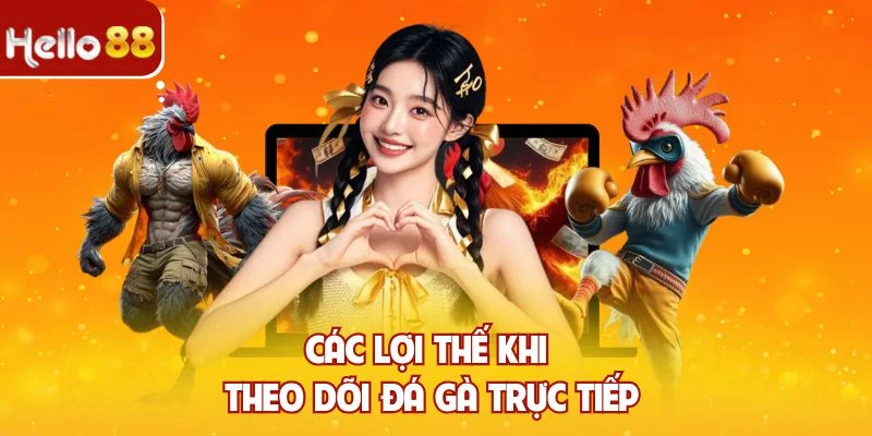 Các lợi thế khi theo dõi đá gà trực tiếp