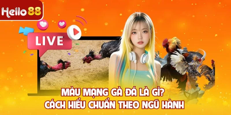 Màu mạng gà đá