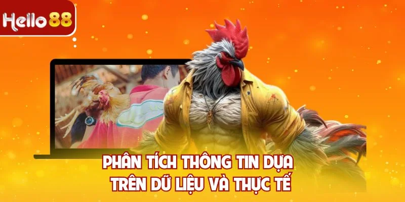 Phân tích thông tin dựa trên dữ liệu và thực tế
